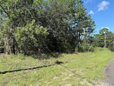 2174 W Tacoma Dr, Citrus Springs, FL 34434 - photo 2