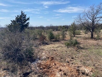 1295 Sandy Ln, Weatherford, TX 76088 - photo 4