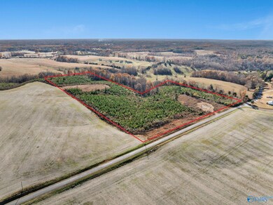 69 Danley Rd, Saint Joseph, TN 38481 - photo 4