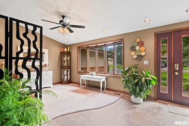 11910 Bubbling Well Rd unit 1, Glenarm, IL 62536 - photo 5