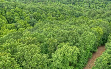 0 Bushy Head Rd unit 303293, Cherry Log, GA 30522 - photo 4