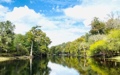 598 SW Manatee Terrace, Fort White, FL 32038 - photo 2