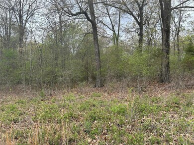 0 County Road 304, Poplar Bluff Township, MO 63901 - photo 2