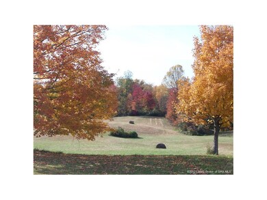 720 Old State Road 64 NE, New Salisbury, IN 47161 - photo 5