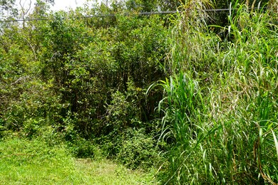 0 Kapiolani St, Pahoa, HI 96778 - photo 4