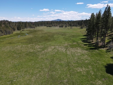 42N35 Rd, Canby, CA 96015 - photo 3