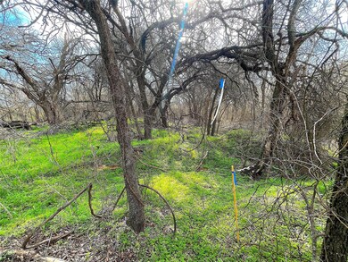 603 Advance Rd, Weatherford, TX 76088 - photo 5