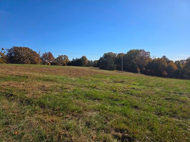 000 State Highway Bb, Saddlebrooke, MO 65630 - photo 7