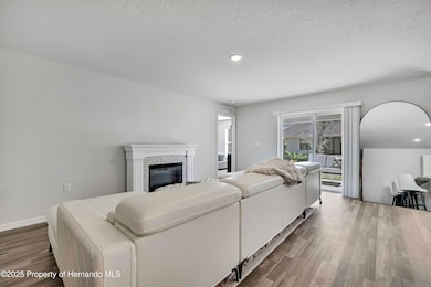 5334 Woodridge Ln, Spring Hill, FL 34609 - photo 5