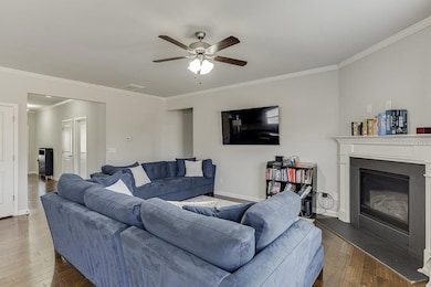 4669 Summer View Dr, Gainesville, GA 30504 - photo 5