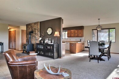 16794 Primrose Ln, Cedaredge, CO 81413 - photo 5