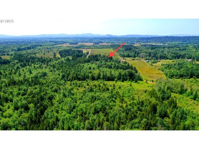 0 Boone Rd unit 361490112, Toledo, WA 98591 - photo 3