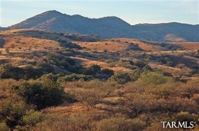 Stevens Canyon
