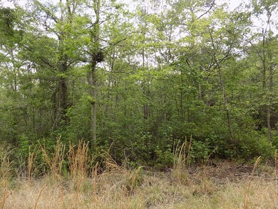 DSCN0527