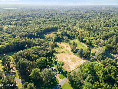 0 Rd unit 4082154, Coldwater, MS 38618 - photo 4