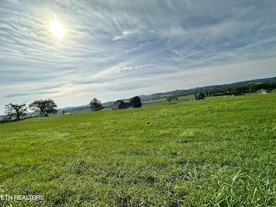 LOT 17 Starling Ln, Speedwell, TN 37870 - photo 3