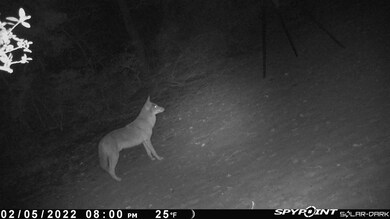 278 Private Road 5787a, Groesbeck, TX 76642 - photo 5