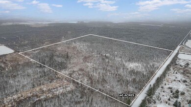 XXXX Saint Louis Co 991, Meadowlands Township, MN 55765 - photo 5