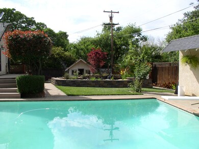 Koi pond and pool