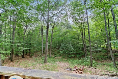 8 Panaway Dr, Campton, NH 03223 - photo 5