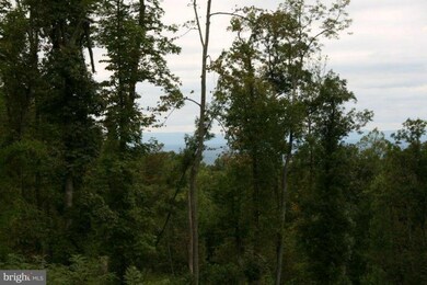 4 Blueridge Mtn Rd, Bluemont, VA 20135 - photo 3
