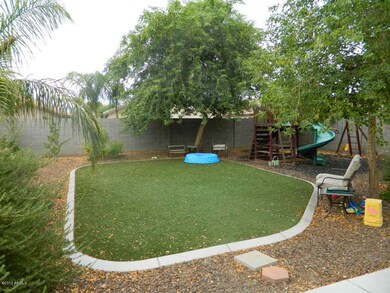 Back yard