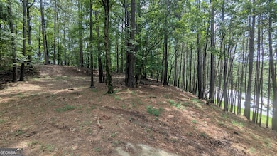 3779 Lawrenceville Suwanee, Suwanee, GA 30024 - photo 3