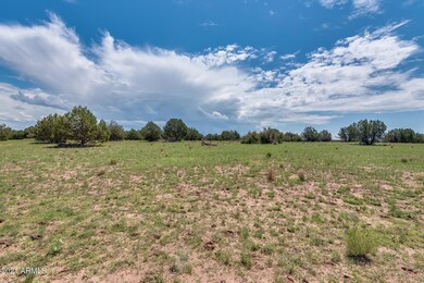 25 Indian Springs Rd unit 2, Ash Fork, AZ 86320 - photo 2