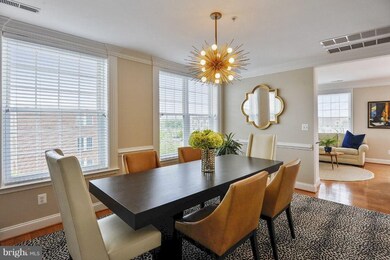 828 Slaters Ln unit 406, Alexandria, VA 22314 - photo 7