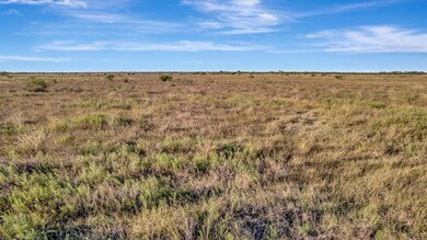 Hiller Rd, Inez, TX 77968 - photo 7