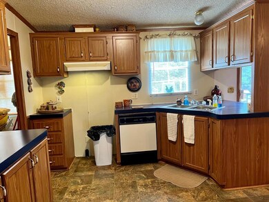 1857 Silas Dodd Ln, Dry Fork, VA 24549 - photo 7