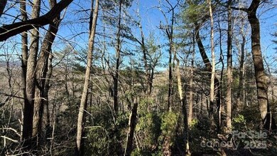 0 Bird Dog Blvd unit CAR4211590, Lake Lure, NC 28746 - photo 3