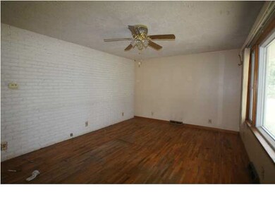 315 1/2 Pecan