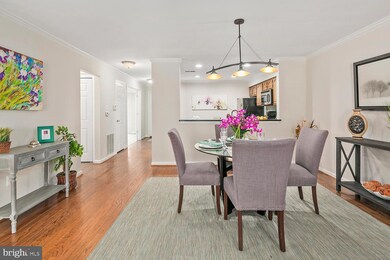 5820 Linden Square Ct, Rockville, MD 20852 - photo 6