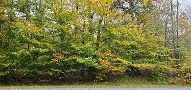 0 Waterfront Dr, Coolbaugh Township, PA 18466 - photo 6