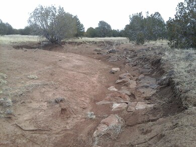 Lot 112 Juniperwood Ranch Unit 3, Ash Fork, AZ 86320 - photo 6