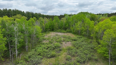 V/L W 1 Mile Rd, White Cloud, MI 49349 - photo 2