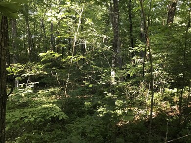 thumbnail_IMG_4490