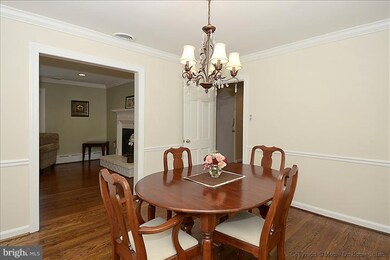 7115 Park Terrace Dr, Alexandria, VA 22307 - photo 7
