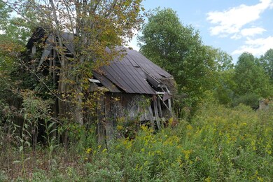 TBD Bryson Cove Rd, Abingdon, VA 24210 - photo 7