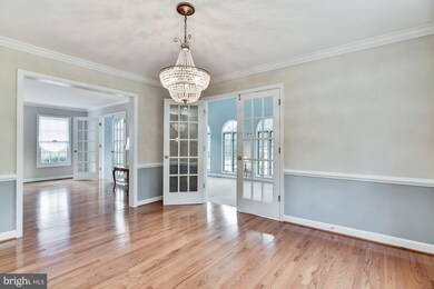 14724 Carona Dr, Silver Spring, MD 20905 - photo 7