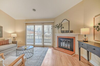 147 Quail Run, Bristol, VA 24201 - photo 6