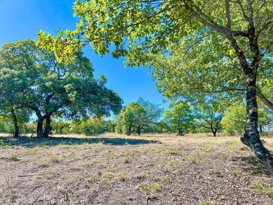 1016 Alicia Ct, Weatherford, TX 76087 - photo 2