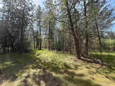 3108 W Thorpe Rd, Spokane, WA 99224 - photo 3