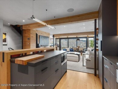 100 N 8th St unit 15, Aspen, CO 81611 - photo 2