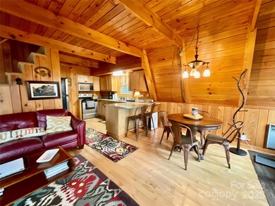 233 Cherry, Boone, NC 28607 - photo 6