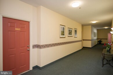 8805 Groffs Mill Dr unit 8805, Owings Mills, MD 21117 - photo 4