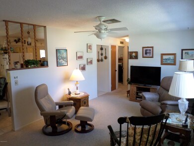 Living Room View 1