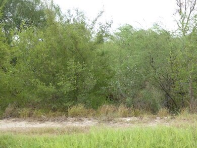 0 E Mile 12 N, Progreso Lakes, TX 78596 - photo 6