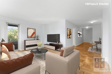 East River Housing unit D307, New York, NY 10002 - photo 4